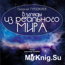 Взгляды из реального мира (аудиокнига)