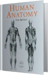 Human anatomy for artists