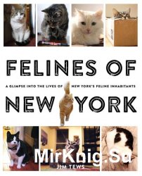 Felines of New York