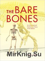 The Bare Bones: An Unconventional Evolutionary History of the Skeleton