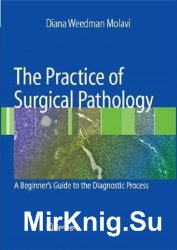 The Practice of Surgical Pathology: A Beginner's Guide to the Diagnostic Process