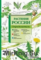 Растения России. Определитель