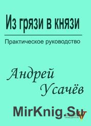 Из грязи в князи. Практическое руководство