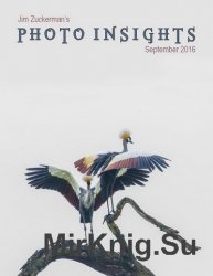 Photo Insights September 2016