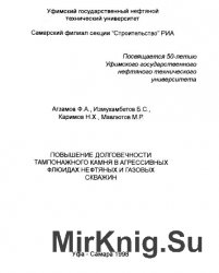 Повышение долговечности тампонажного камня в агрессивных флюидах нефтяных и газовых скважин