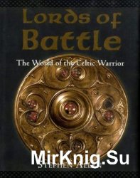 Lords of Battle: The World of the Celtic Warrior (World of the Warrior)