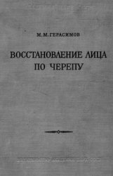 Восстановление лица по черепу (современный и ископаемый человек)