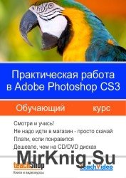 Adobe Photoshop CS3 - Практическая работа