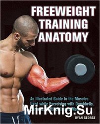 Freeweight Training Anatomy