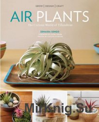 Air Plants: The Curious World of Tillandsias