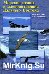 Морские птицы и млекопитающие Дальнего Востока России