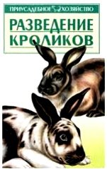 Разведение кроликов