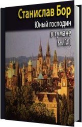 Юный господин в тумане. Книга 1 (Аудиокнига)