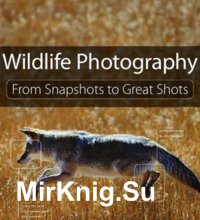 Wildlife Photography