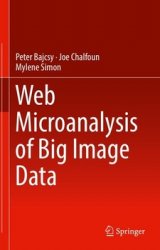 Web Microanalysis of Big Image Data