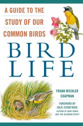 Bird Life: A Guide to the Study of Our Common Birds