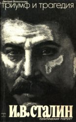 Триумф и трагедия. Политический портрет И.В. Сталина. Книга 1. Часть 1