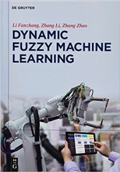 Dynamic Fuzzy Machine Learning
