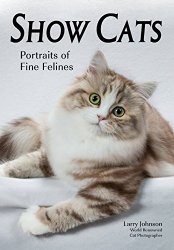 Show Cats: Portraits of Fine Felines