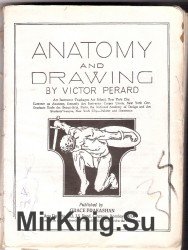 Anatomy and Drawing