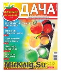 Дача №6 2019