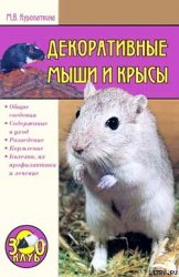Декоративные мыши и крысы