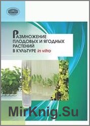 Размножение плодовых растений в культуре in vitro