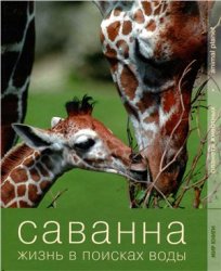 Саванна. Жизнь в поисках воды