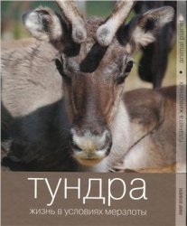 Тундра. Жизнь в условиях мерзлоты