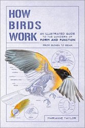 How Birds Work: An Illustrated Guide to the Wonders of Form and Function - from Bones to Beak