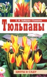 Тюльпаны (Зайцева-Тушнова Е.Н.)