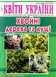 Квіти України № 6 2019. Хвойні дерева та кущі