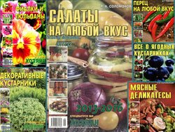 Архив СВ газеты «Хозяин» за 2013-2016 г.г.
