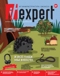 IT Expert №11 2020