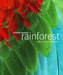 Rainforest: A Photographic Journey