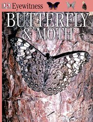 Butterfly & Moth