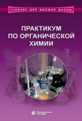 Практикум по органической химии (2020)