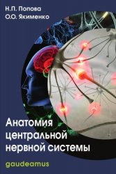 Анатомия центральной нервной системы (2015)