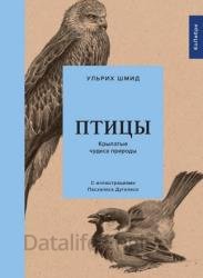 Птицы. Крылатые чудеса природы