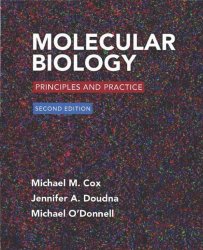 Molecular Biology: Principles and Practice. Second Edition