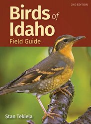 Birds of Idaho Field Guide (Bird Identification Guides), 2nd Edition