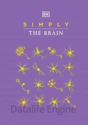 Simply the Brain