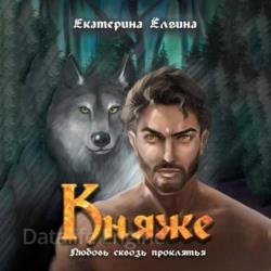 Княже (Аудиокнига)