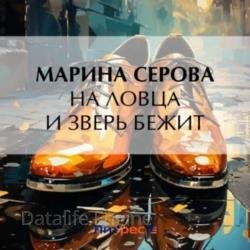 На ловца и зверь бежит (Аудиокнига)