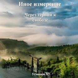 Иное измерение. Через тернии к свободе (Аудиокнига)