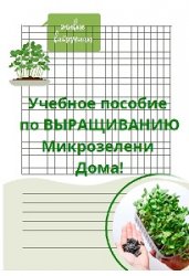 Учебное пособие по выращиванию микрозелени дома