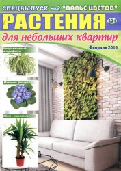 Вальс цветов № 2 СВ 2016. Растения для небольших квартир