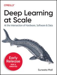 Deep Learning at Scale (Third Early Release)