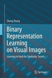 Binary Representation Learning on Visual Images: Learning to Hash for Similarity Search