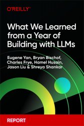 What We Learned from a Year of Building with LLMs